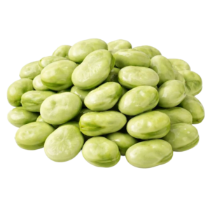 Fava Beans